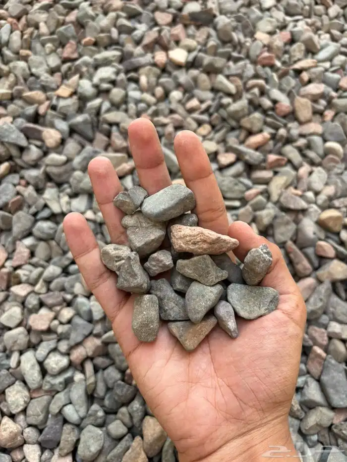 خرصان كامل بدون تكسير 1