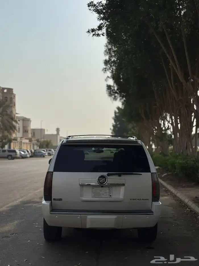 اسكاليد 2013 قصير ابيض لولوي 5