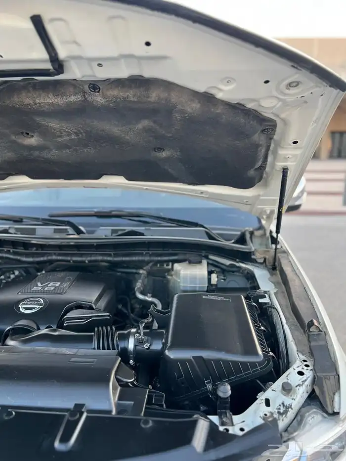 بلاتينيوم2014 7