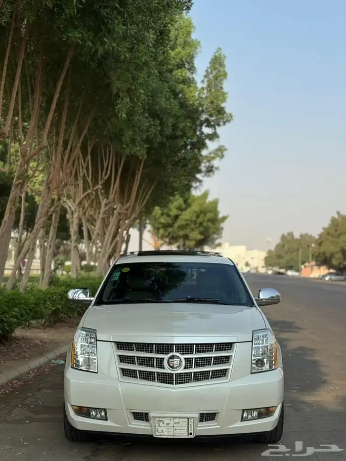 اسكاليد 2013 قصير ابيض لولوي 6