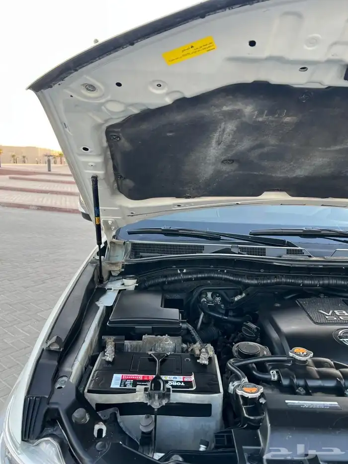 بلاتينيوم2014 11