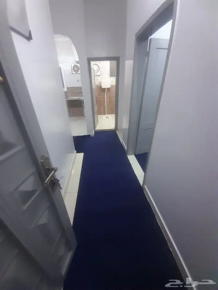 يوجد شقه عزاب مفروش للايجار الشهري 1