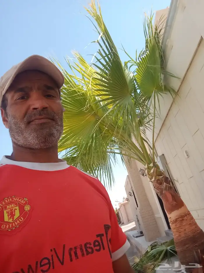 معلم تنظيف نخل وتنسيق الحدائق 3