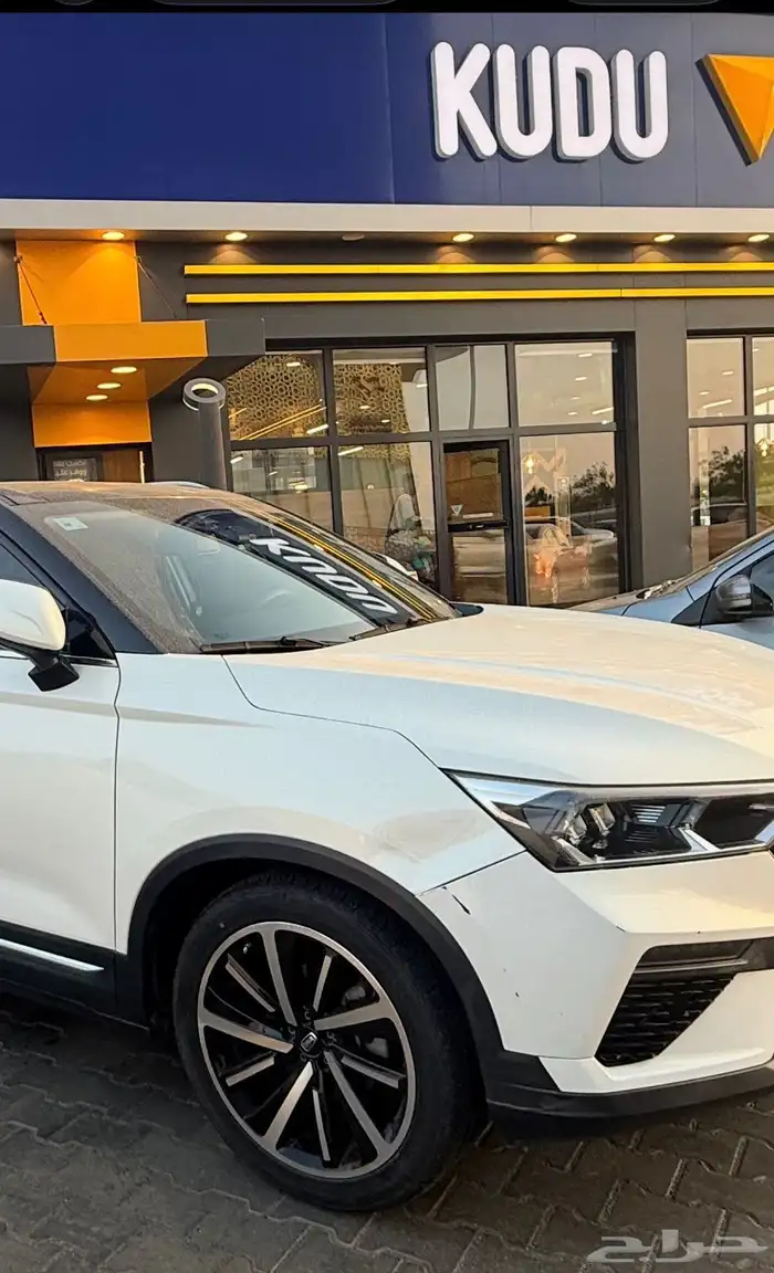 فاو بيستون T77 2