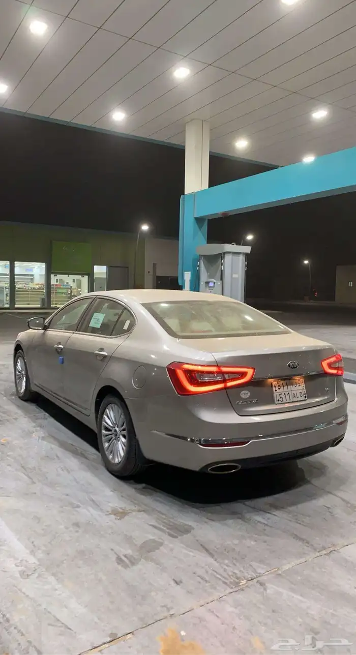 كادينزا 2015 1