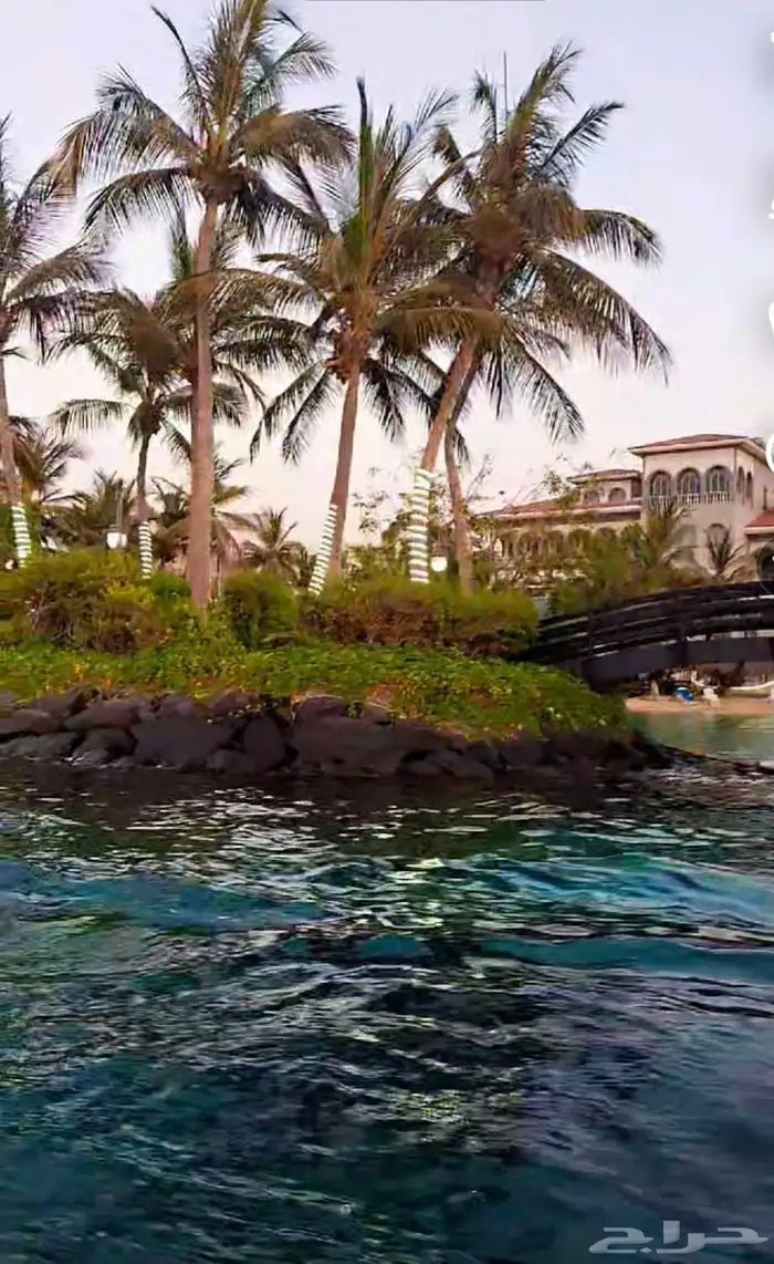 جولات نزهة ب 150ريال 1