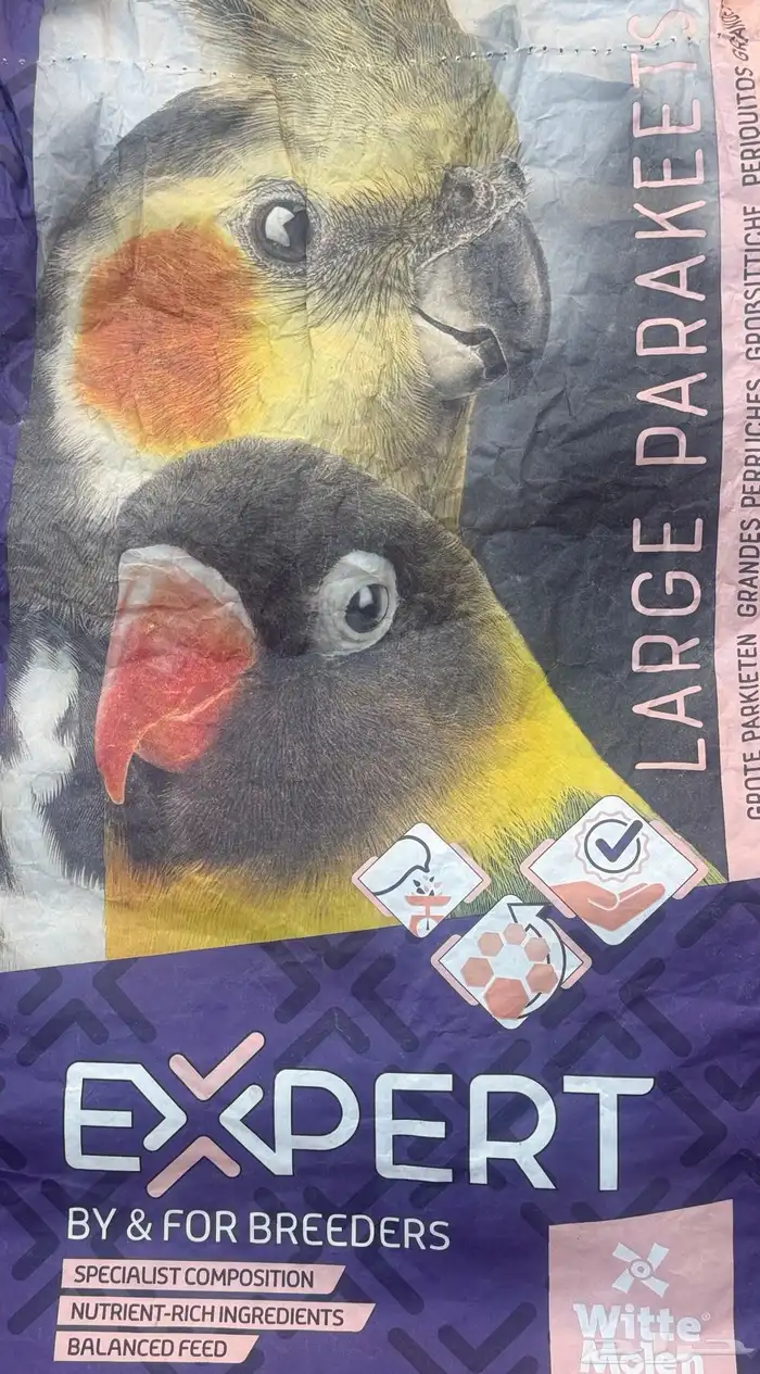 أكل لطيور البادجي 4