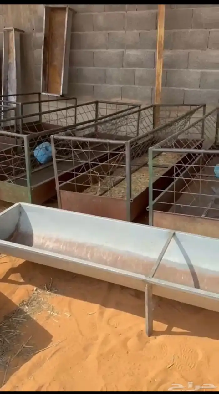 للبيع معالف غنم و معالف شعير 5