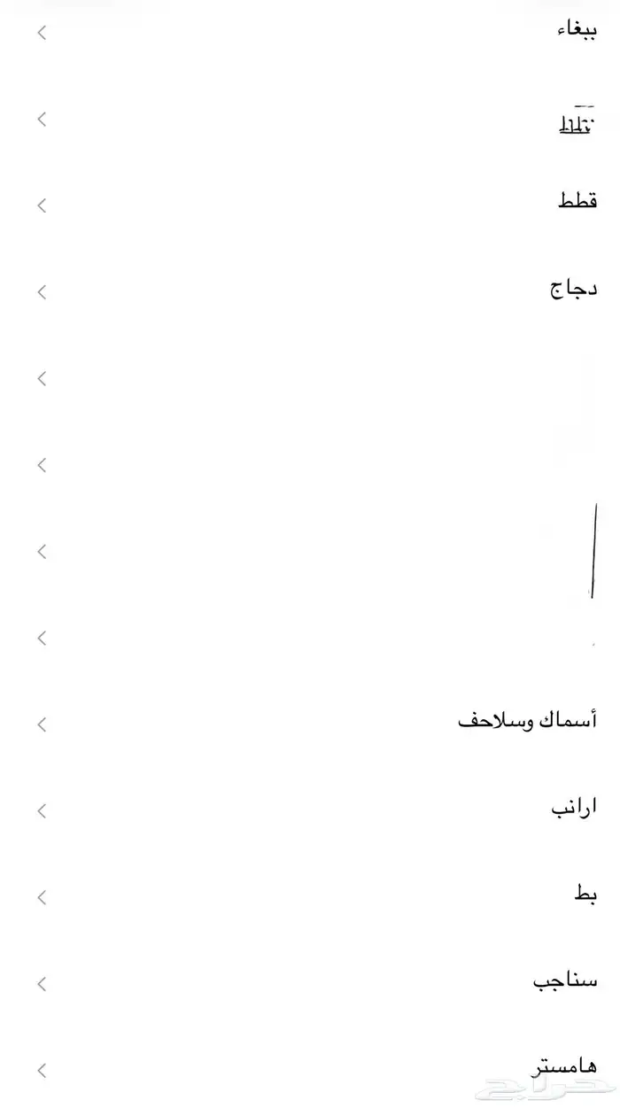 فندق حيوانات 1