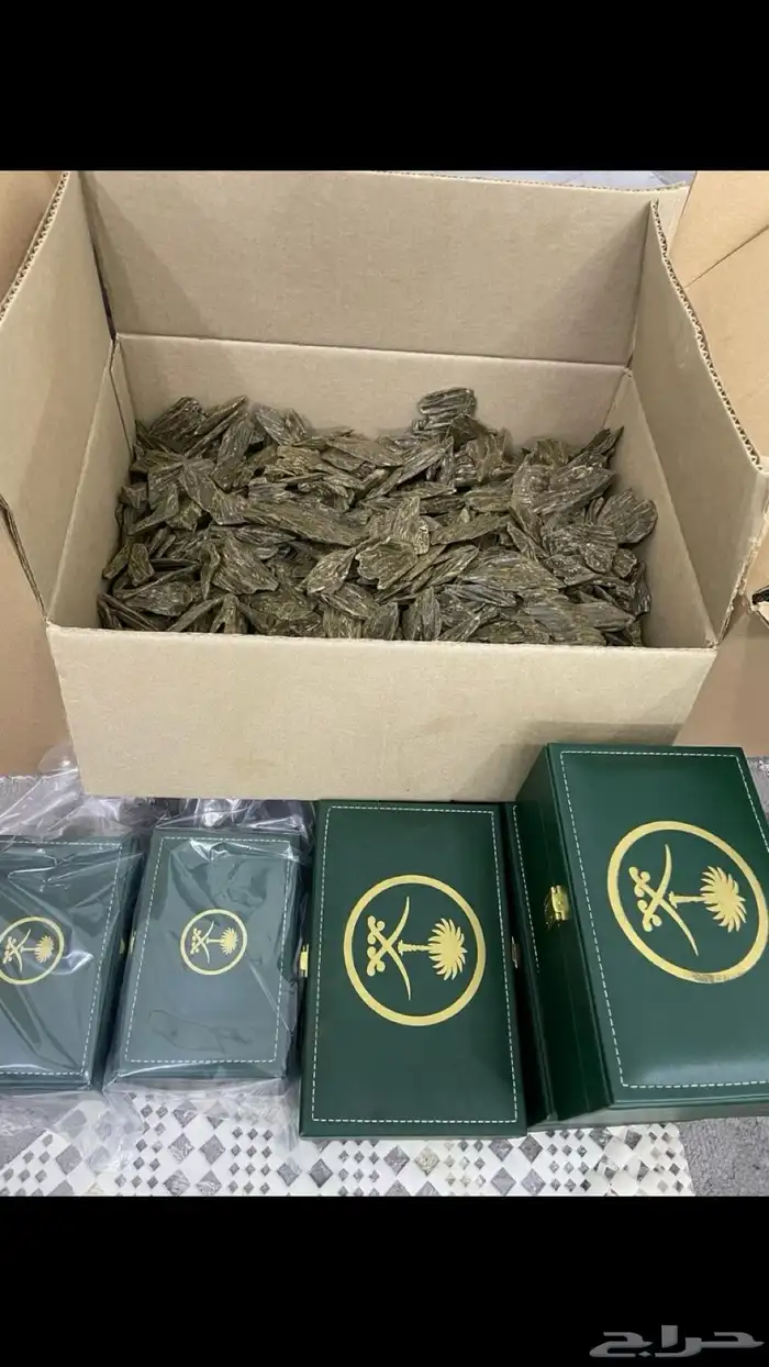 العود الازرق الرسمي 1