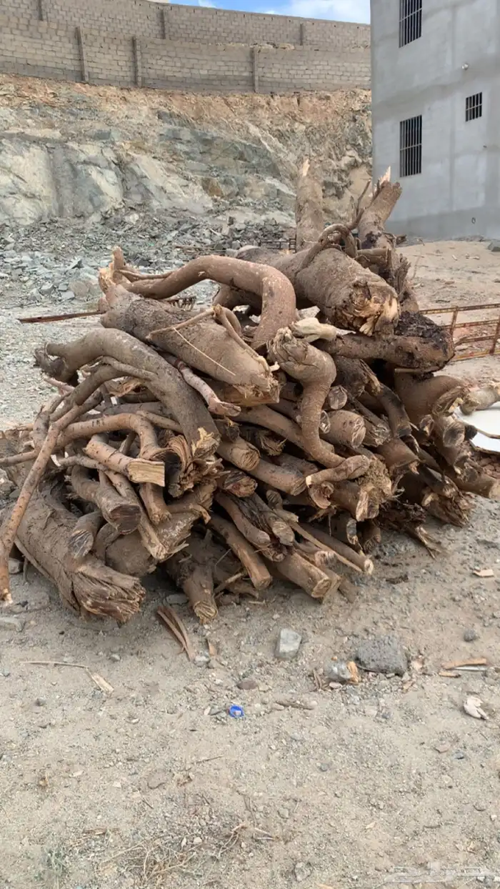 سمر حمله شاص 2