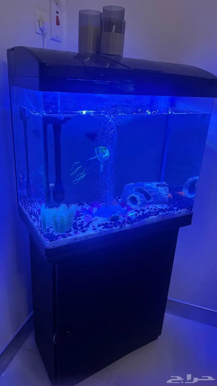 حوض سمك 0