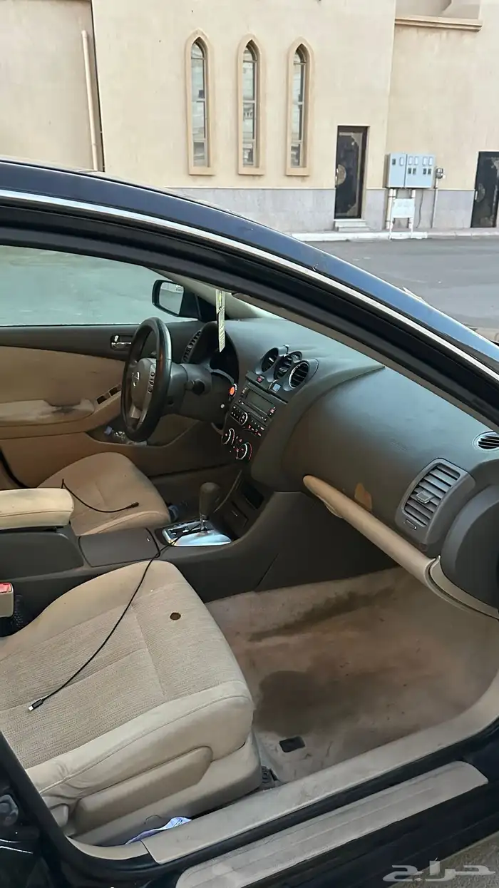 التيما 2012 11