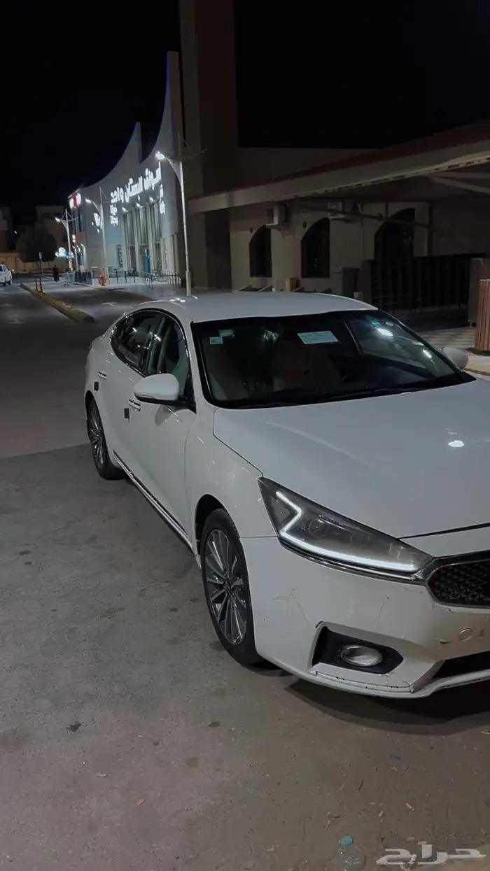 كادينزا 2017 17