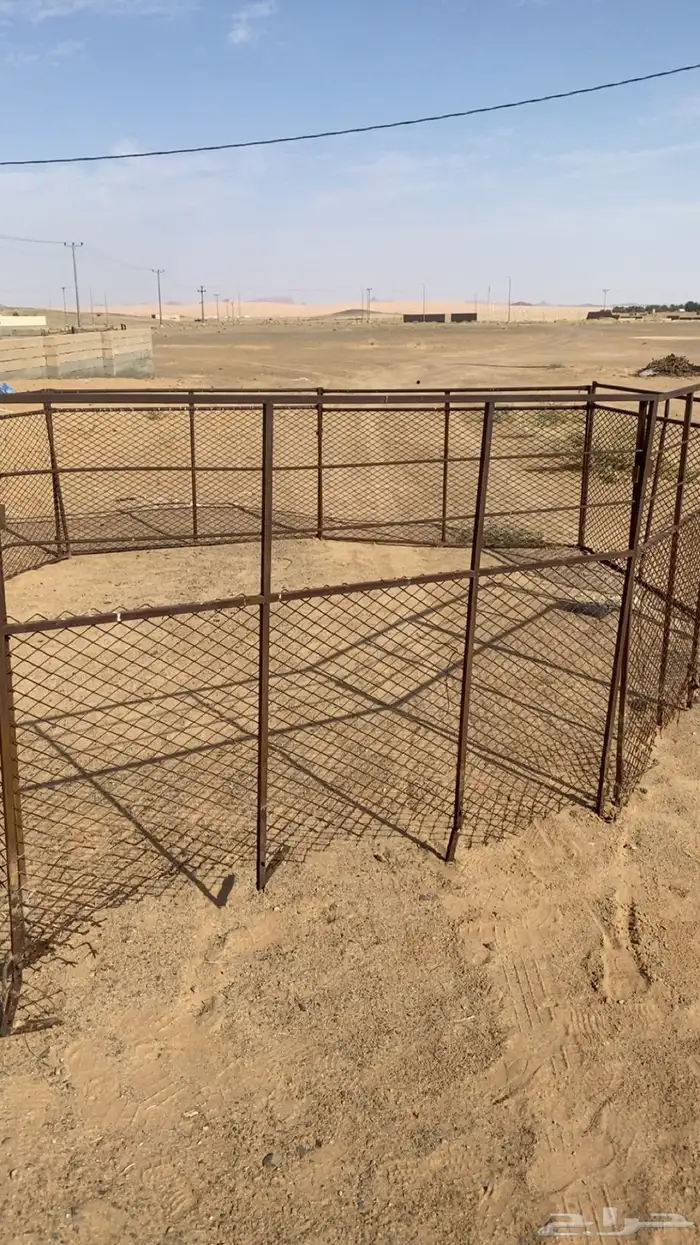 حشو غنم شبوك للبيع 8