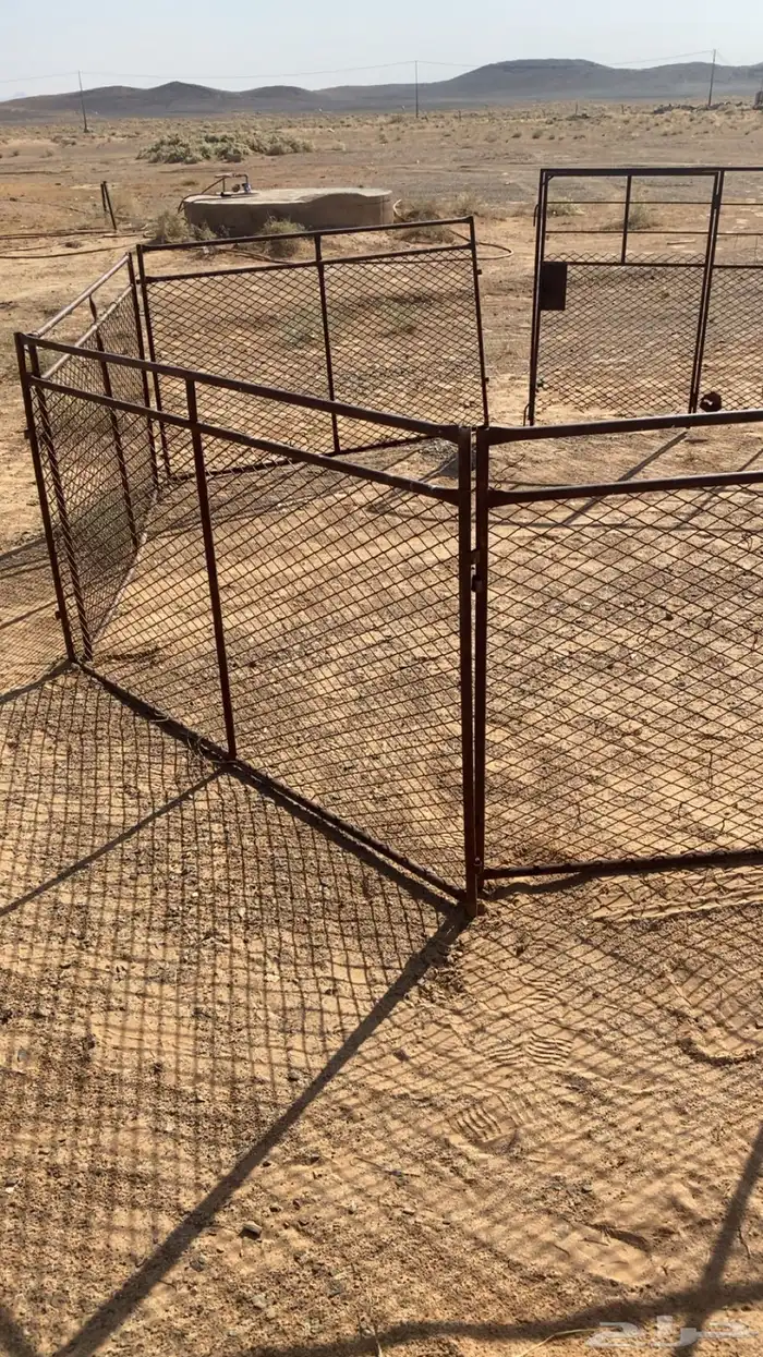 حشو غنم شبوك للبيع 2