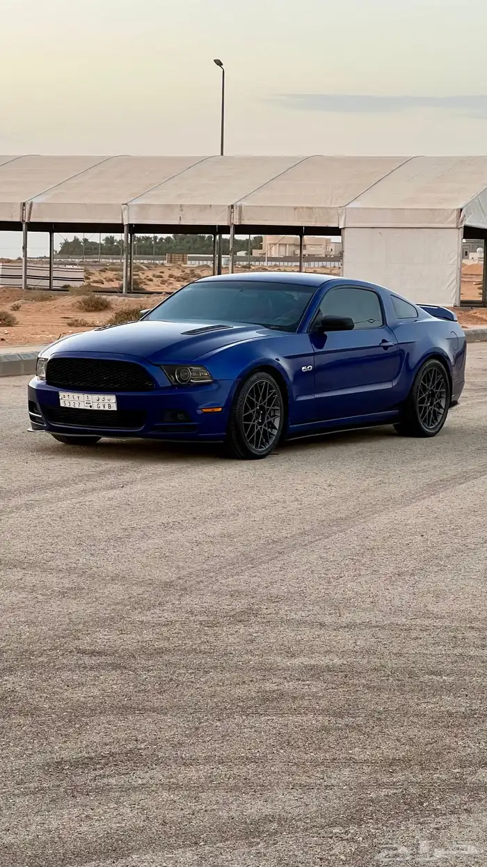 موستنج 2013 5