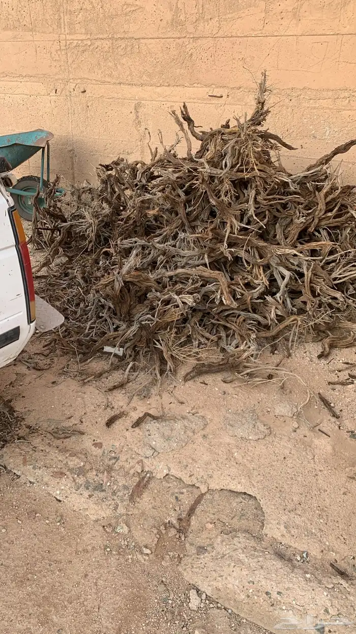 حوض ددسن للبيع 0