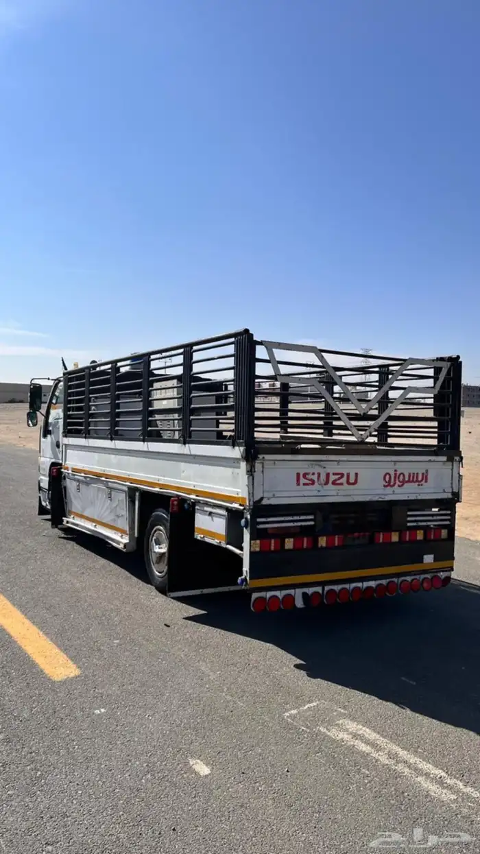 دينا ايسوزو 2008 2