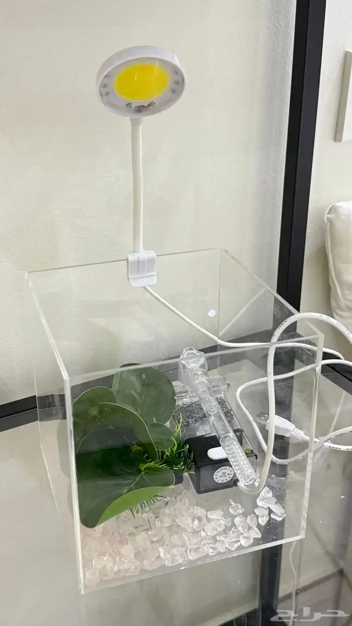 حوض سمك  اكل سمك ومضاد علاج 0