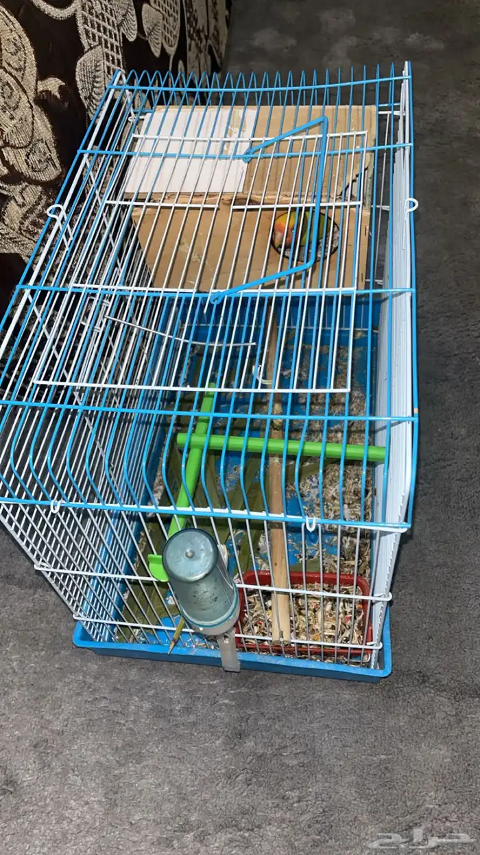 بسم الله الرحمن الرحيم 8