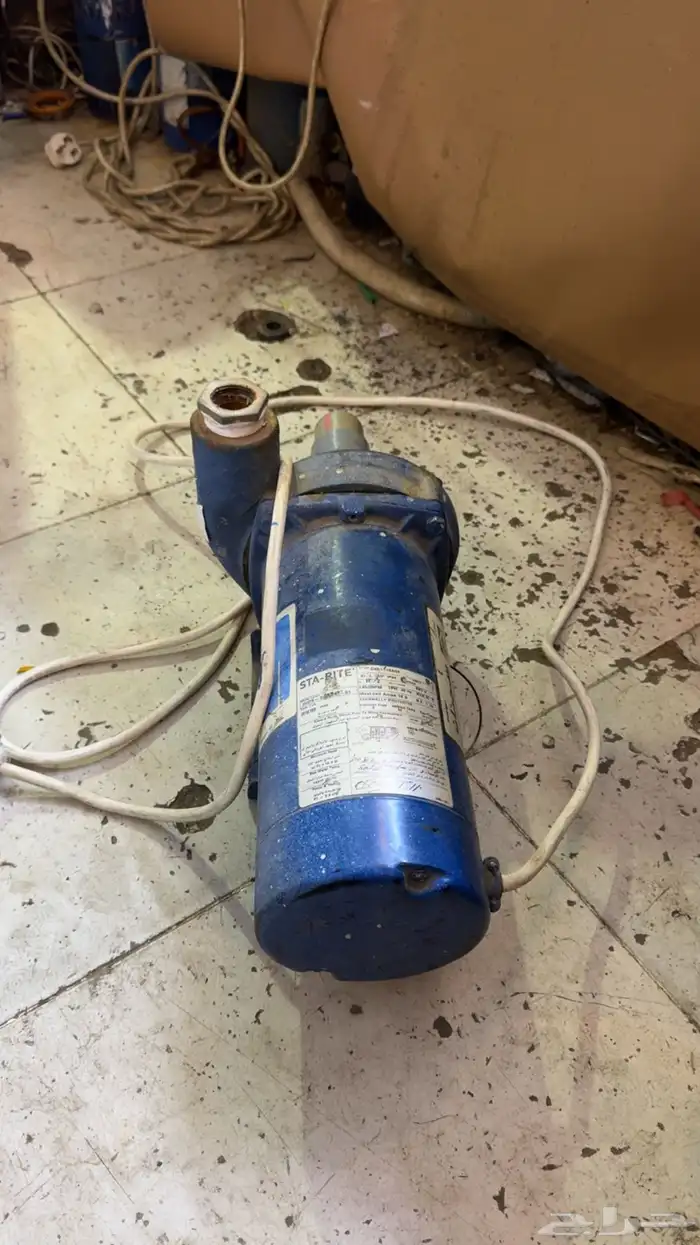 دينمو سمنان جديد ما قد فك قوته 2 حصان 1