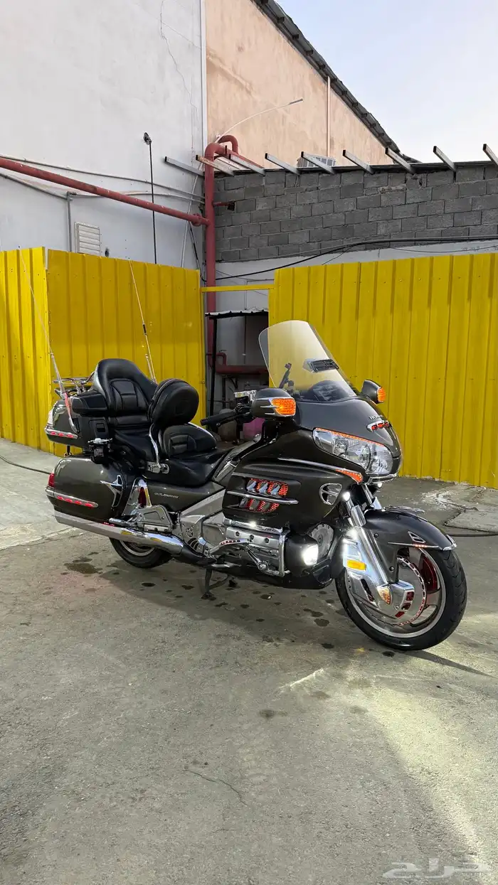 قولد وينق 2010 لفل 3 1