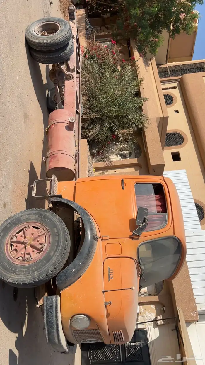 حصنيه للبيع 9