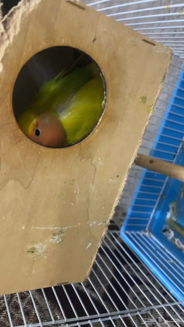 بسم الله الرحمن الرحيم 7