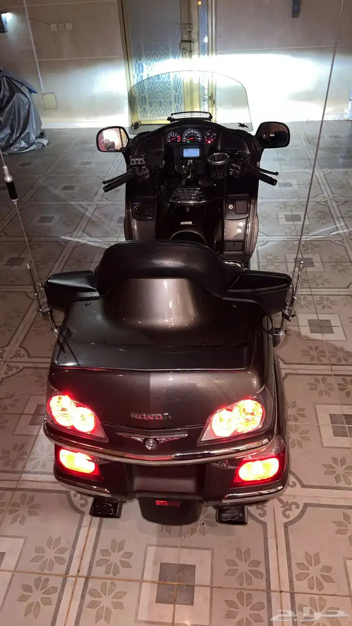 قولد وينق رحال ليفل 1 - 2009 4