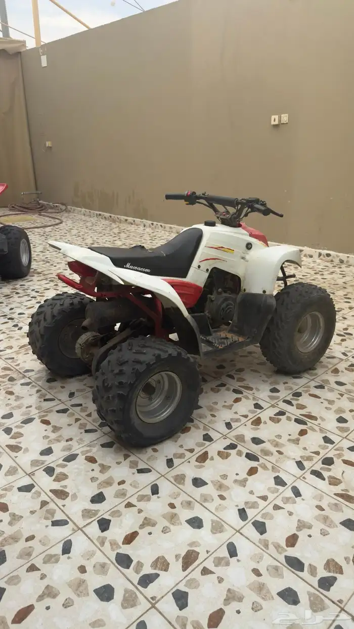 دباب للبيع 3