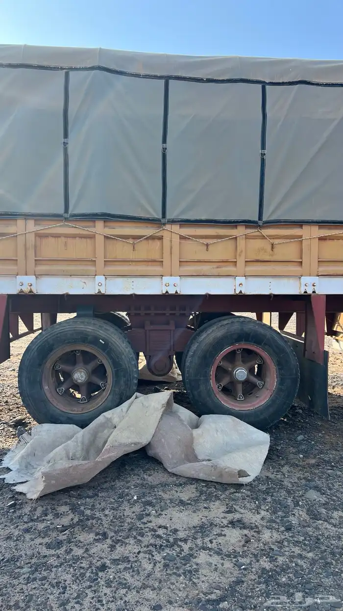 تيدر جوانب الماني اباالامع قاعده 16 5