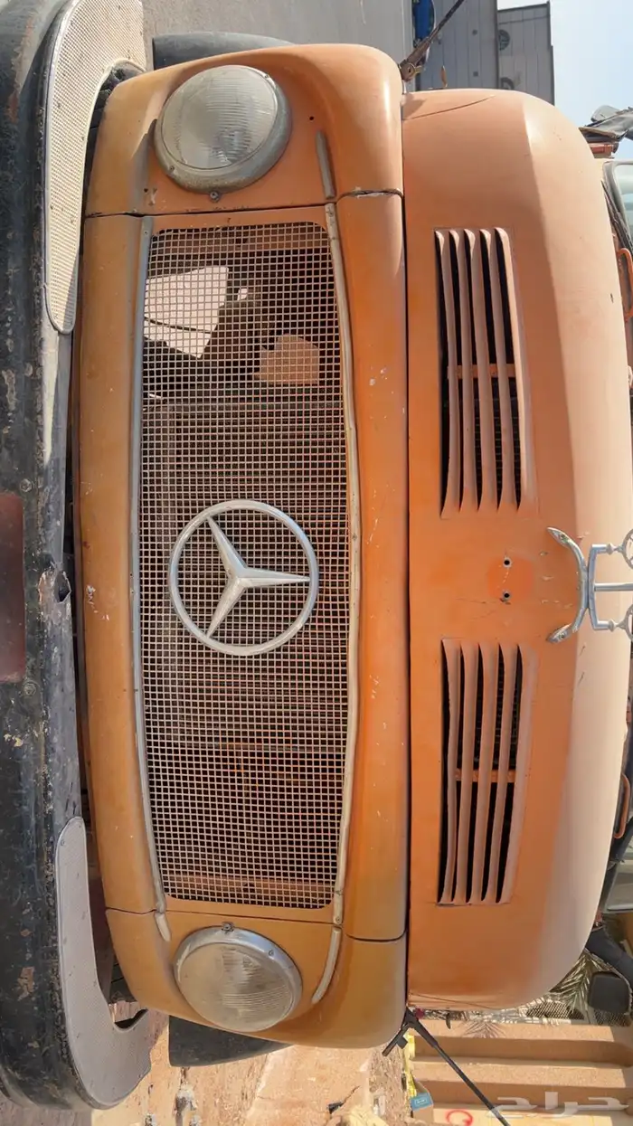 حصنيه للبيع 0