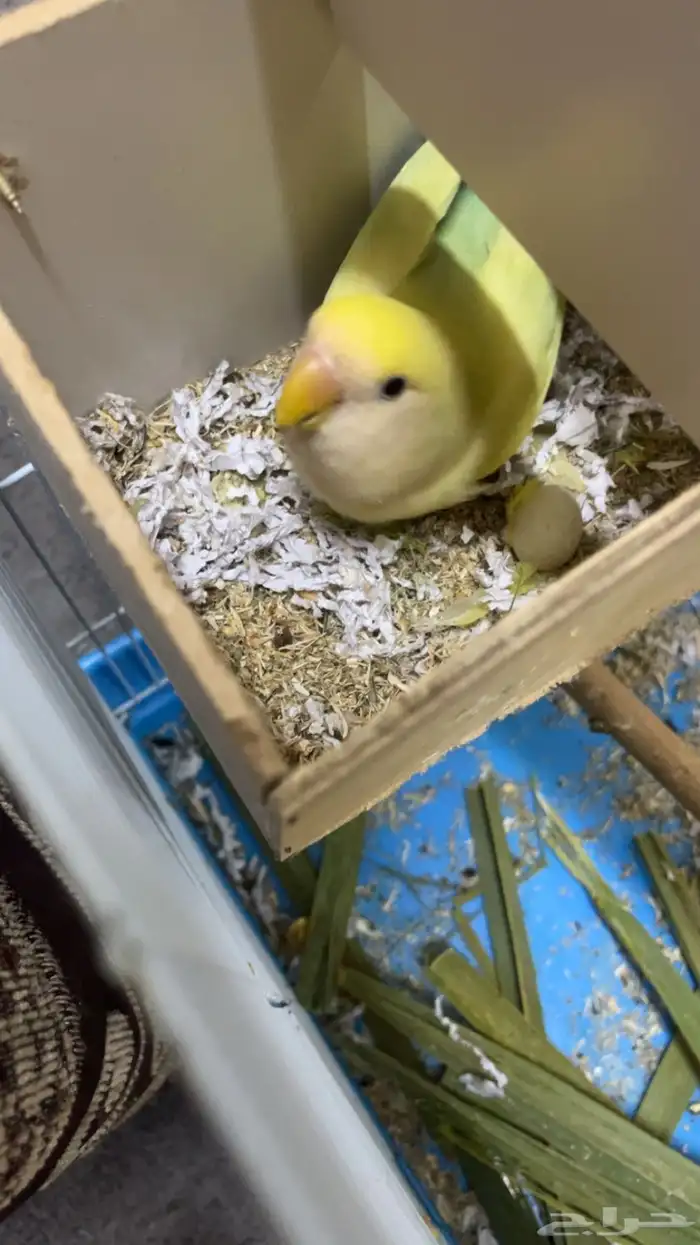 بسم الله الرحمن الرحيم 5