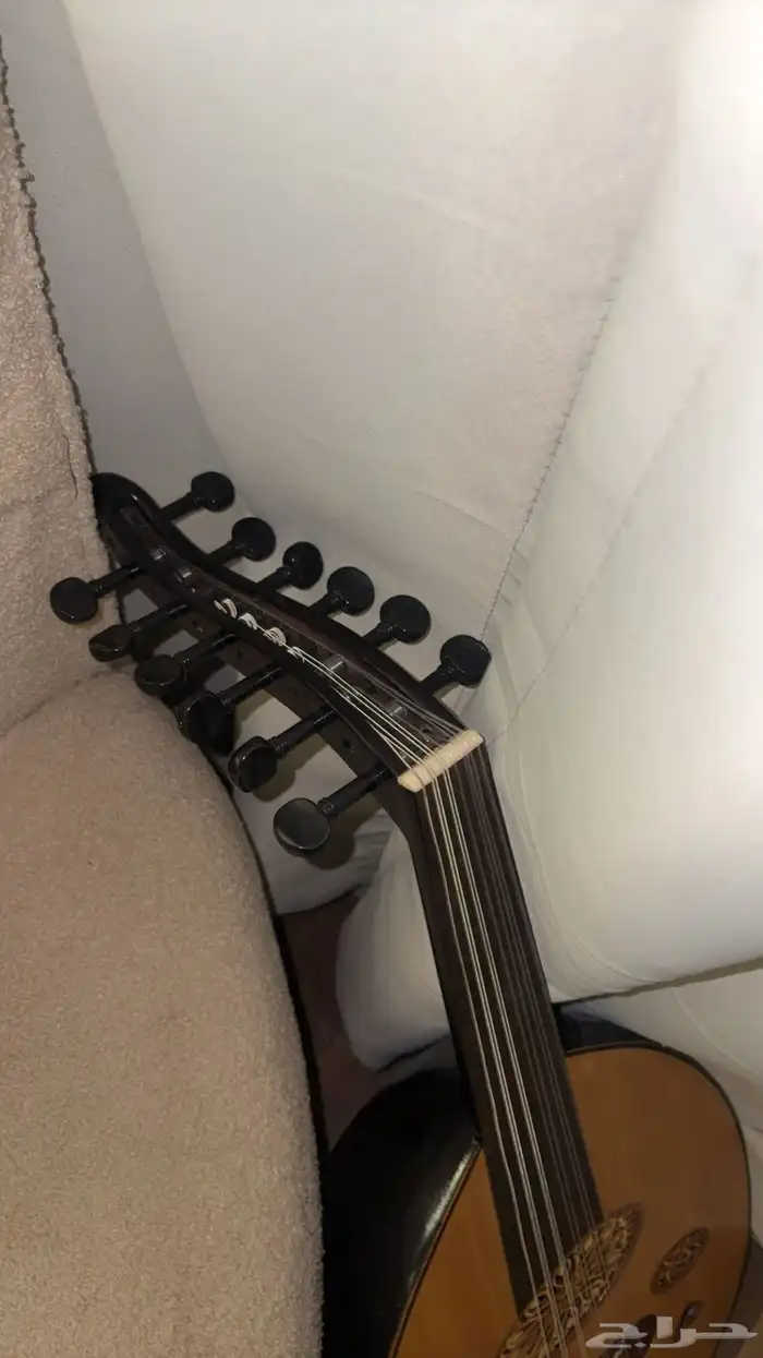 عود بحريني للبيع 0