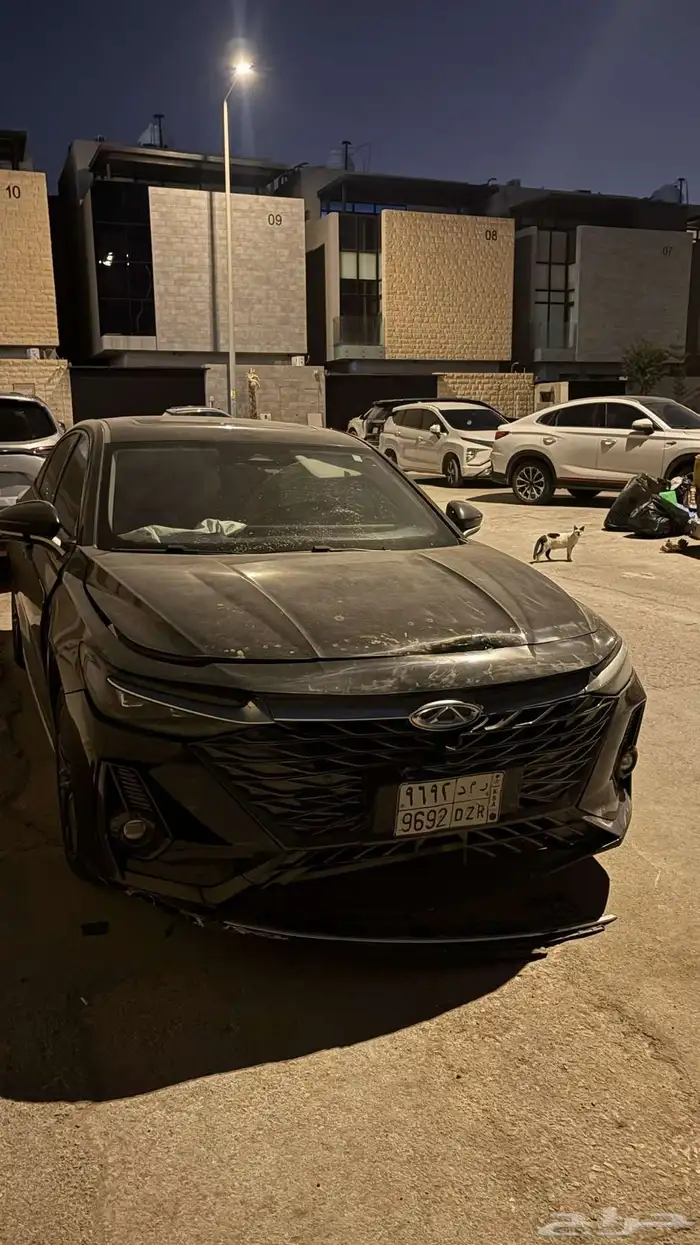 شيري اريزو 8 2025 0