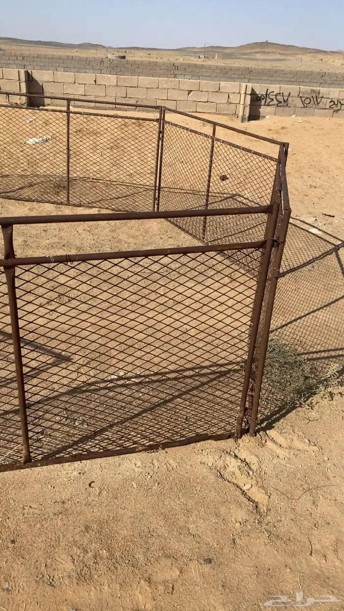 حشو غنم شبوك للبيع 3