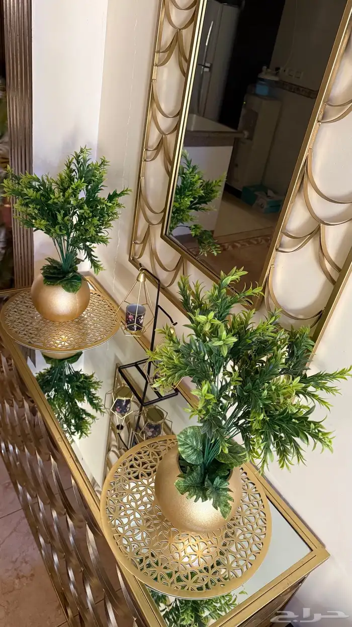 مدخل مع فازات ومرايه 0