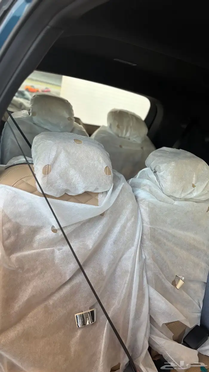 عرض شهر نوفمبر على اوكافانجو النص فل 5