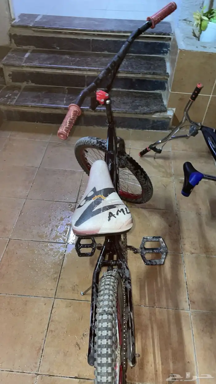 سيكل كوبرا 1