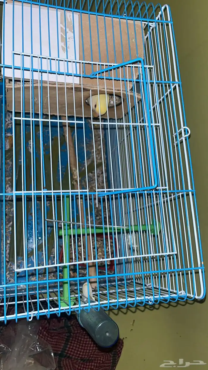 بسم الله الرحمن الرحيم 9