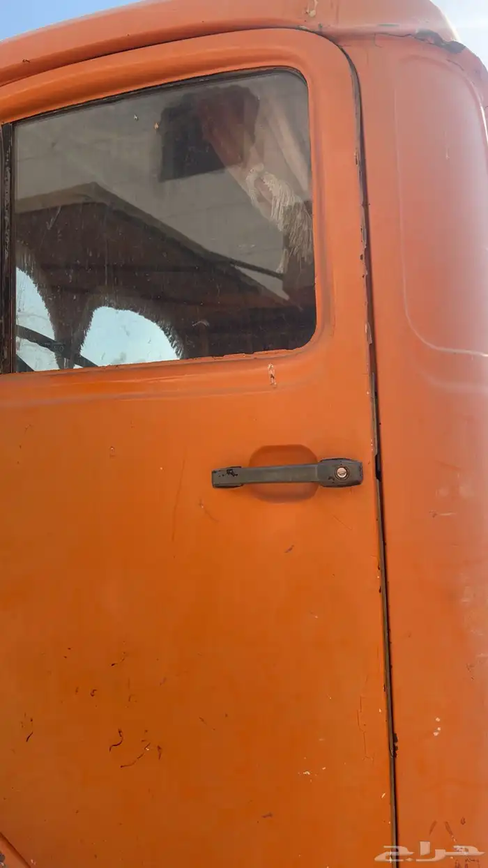 حصنيه للبيع 6