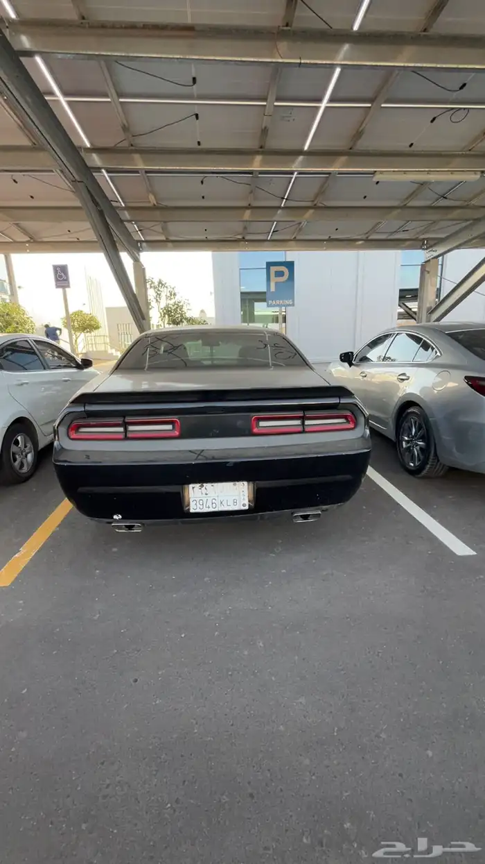 دوج تشالنجر2011 8