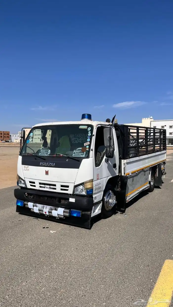 دينا ايسوزو 2008 4