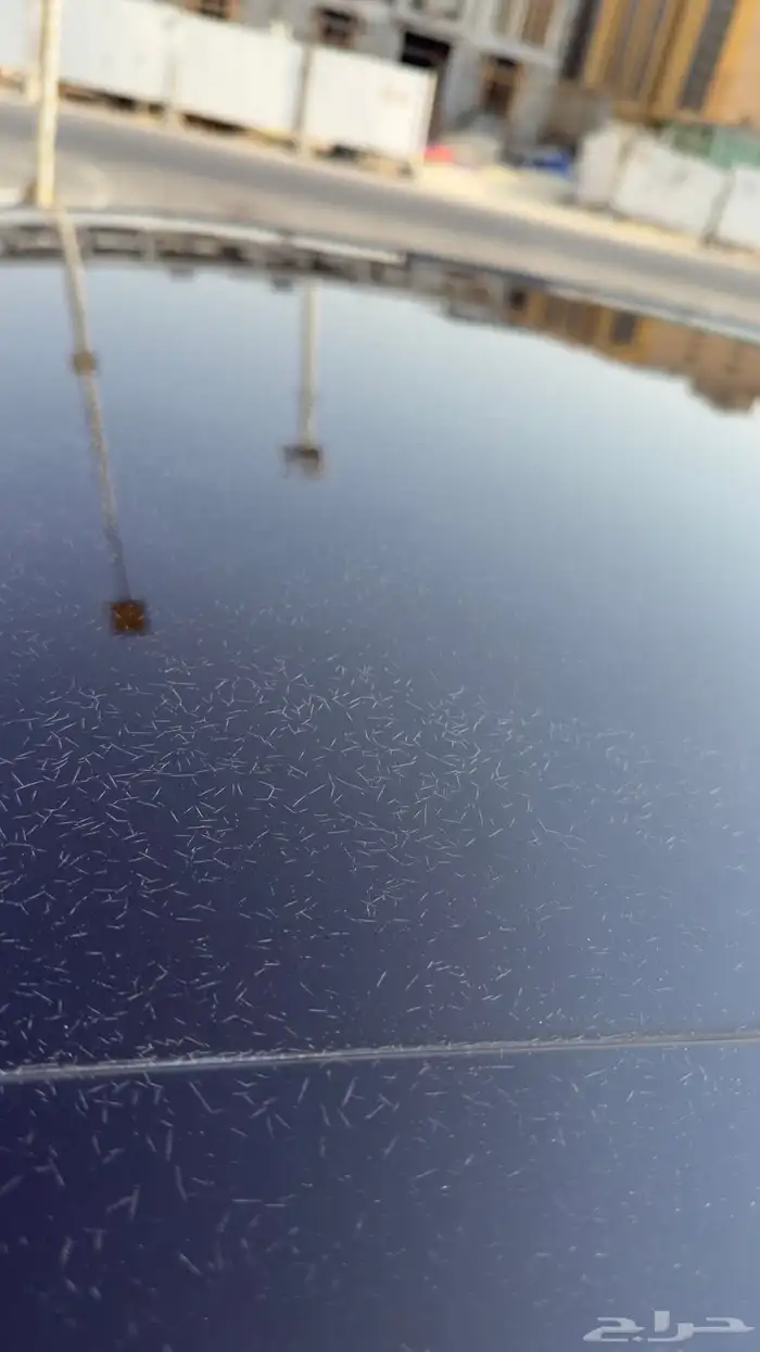 فورد تورس 2019 ممشى قليل 32