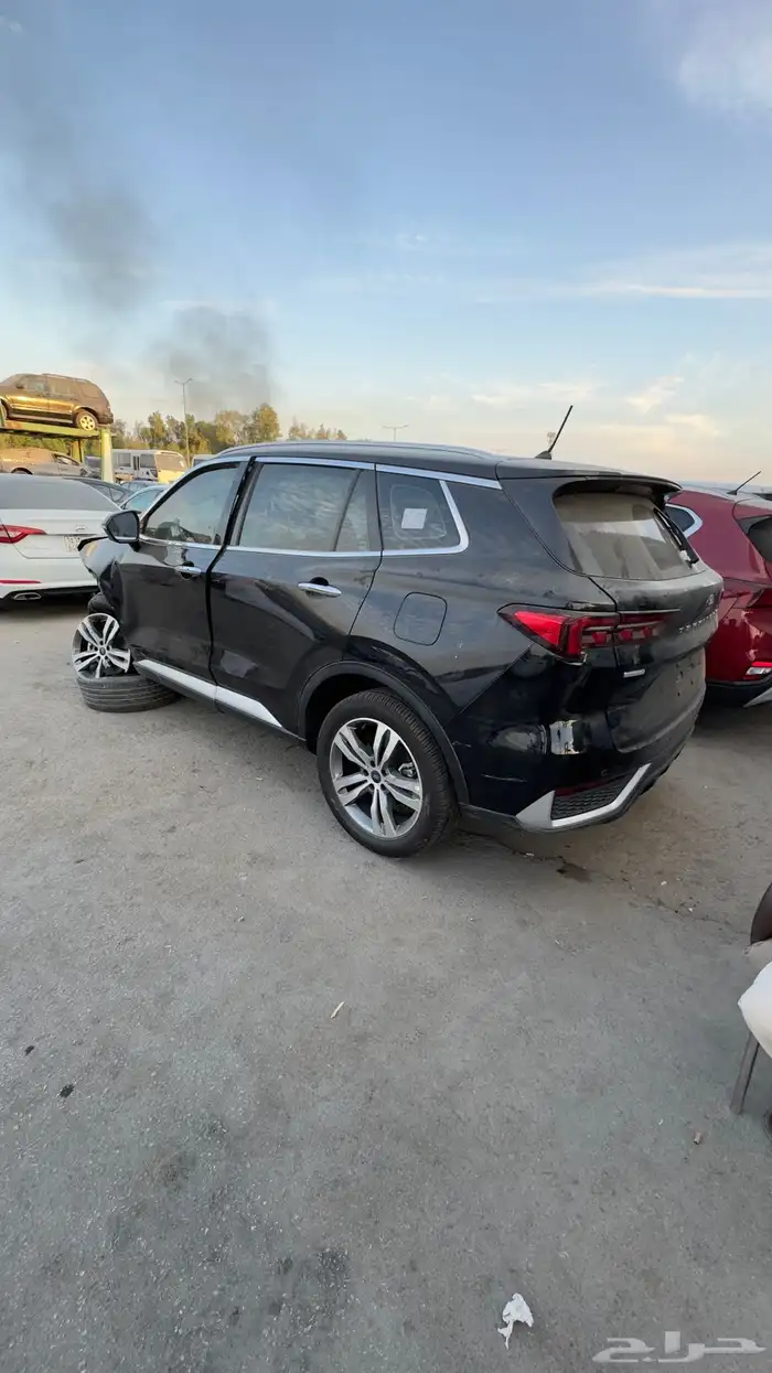 تيريتوري مصدوم تيتانيوم 2025 3