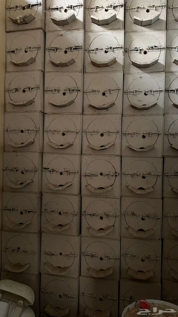 خلايا نحل جديدة 0