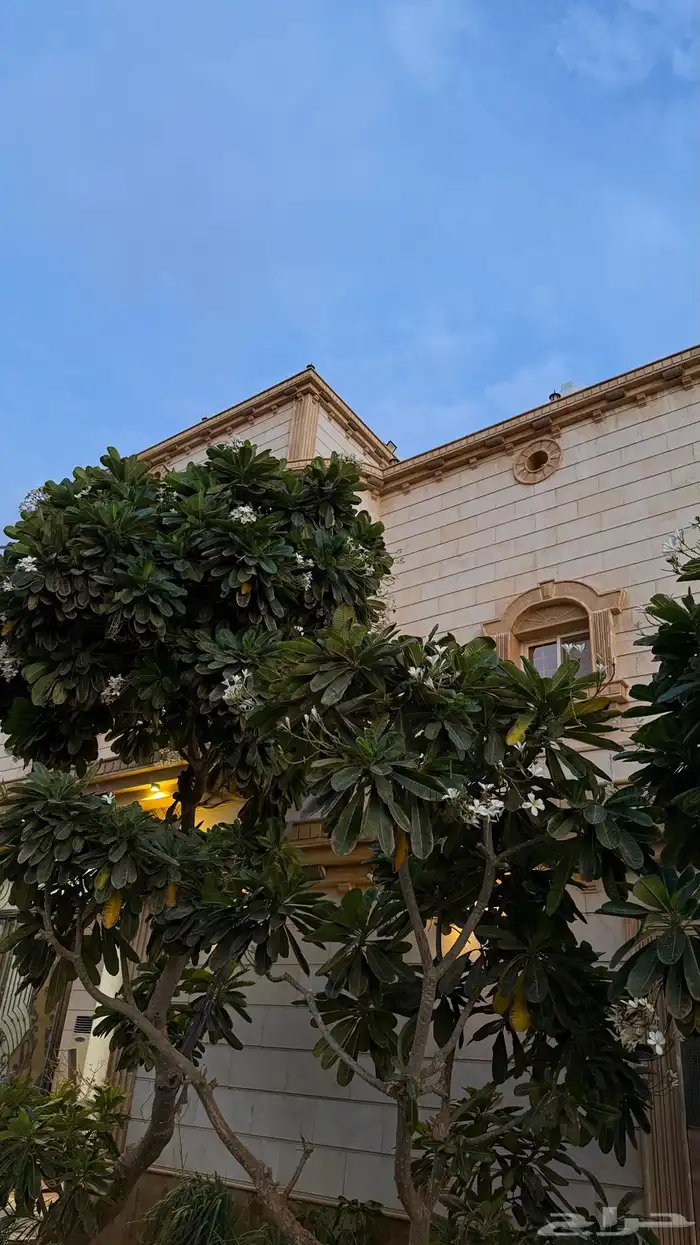 شقة غير مفروشة بلاط 3 غرف و صالة في جدة 9