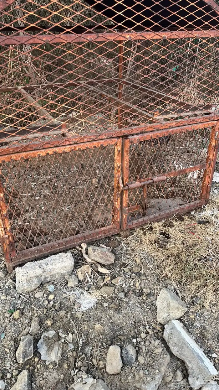 شبك او صندقه دجاج .ارانب .بط.حمام سمان.انته ورغبتك 0