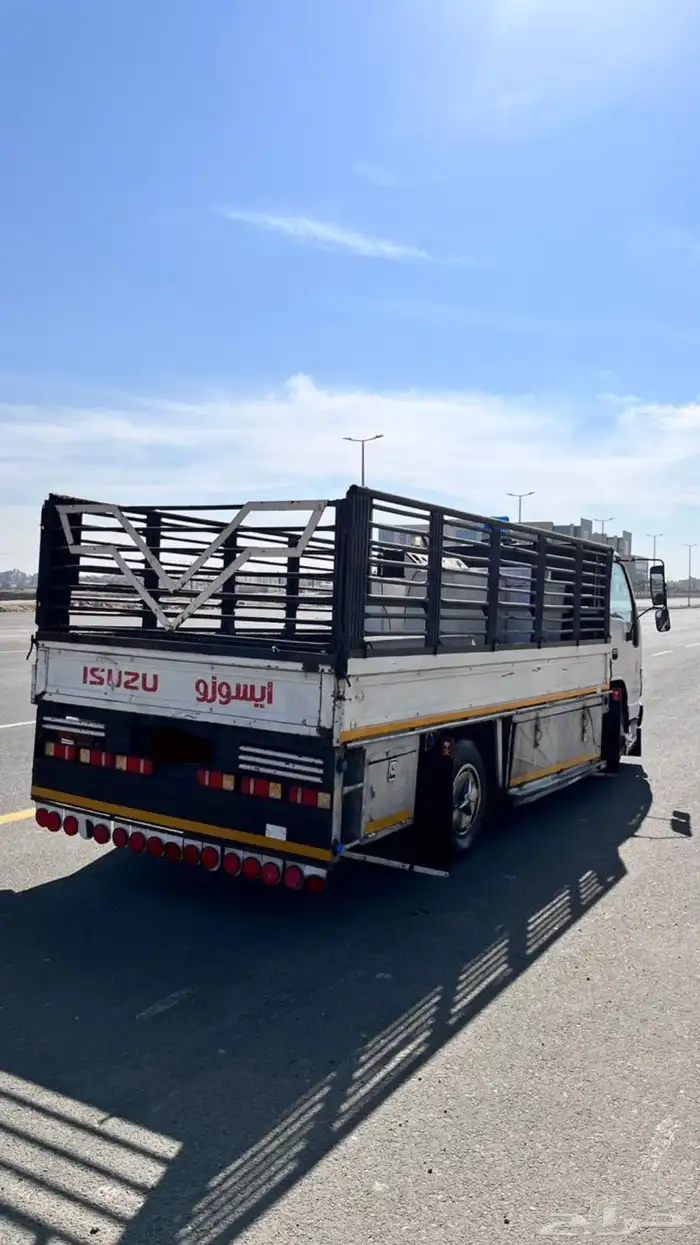 دينا ايسوزو 2008 1